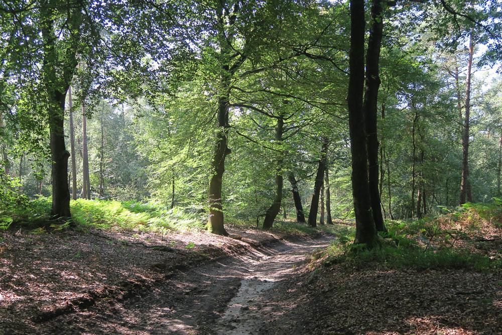 Het Kleine Landgoed Villa Haarle Exteriör bild